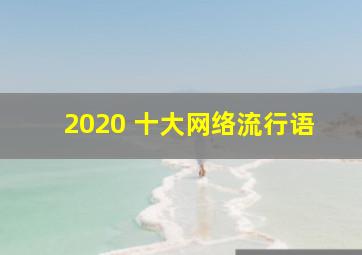 2020 十大网络流行语